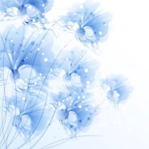 Meet your Posher, Josephine